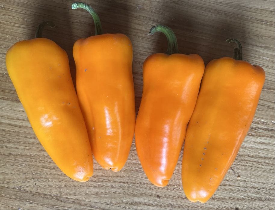 Солодкий міні перець Апельсин