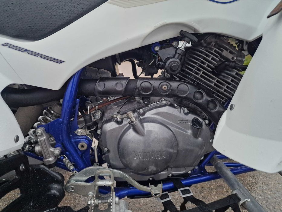 Yamaha YFM Raptor 350 R Special Edition