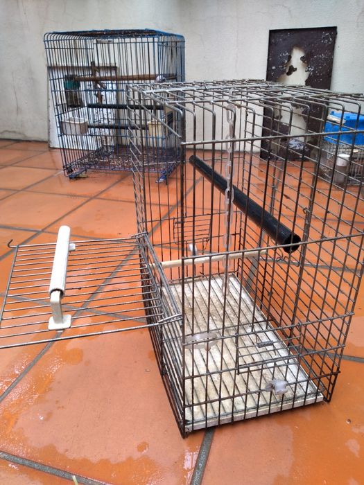 Gaiola com abertura para pássaro domesticado