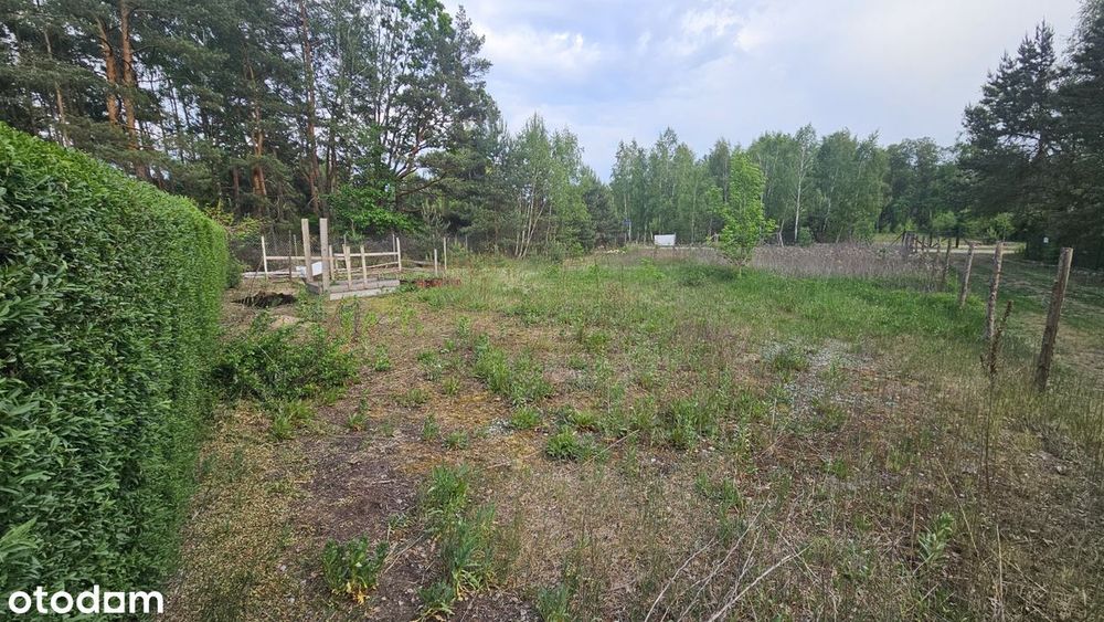 Działka budowlana w Ostrówku, wieś, las, cisza i spokój