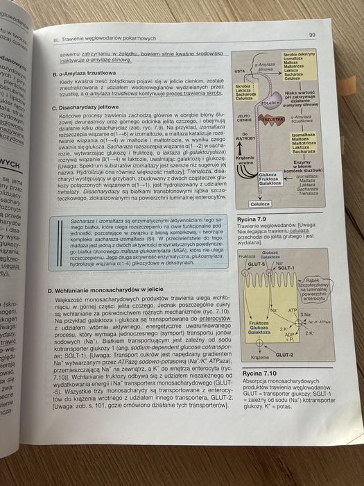 Ferrier lippincott biochemia