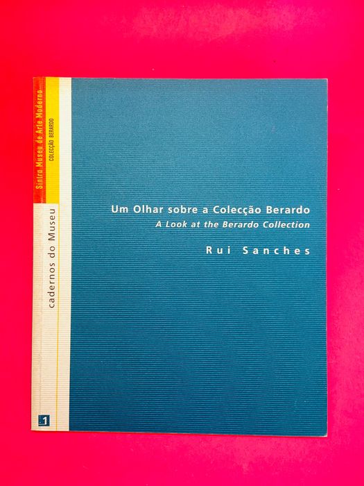 Um Olhar Sobre a Colecção Berardo - Rui Sanches