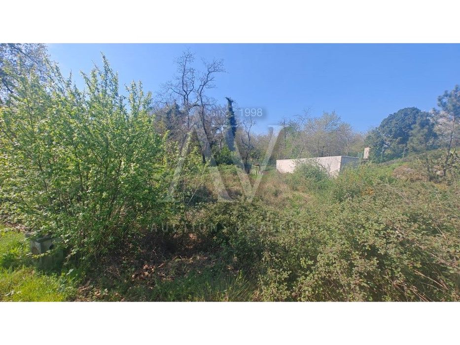 Terreno para construção - S. SALVADOR - VISEU |LEILÃO ELETRÓNICO| F...
