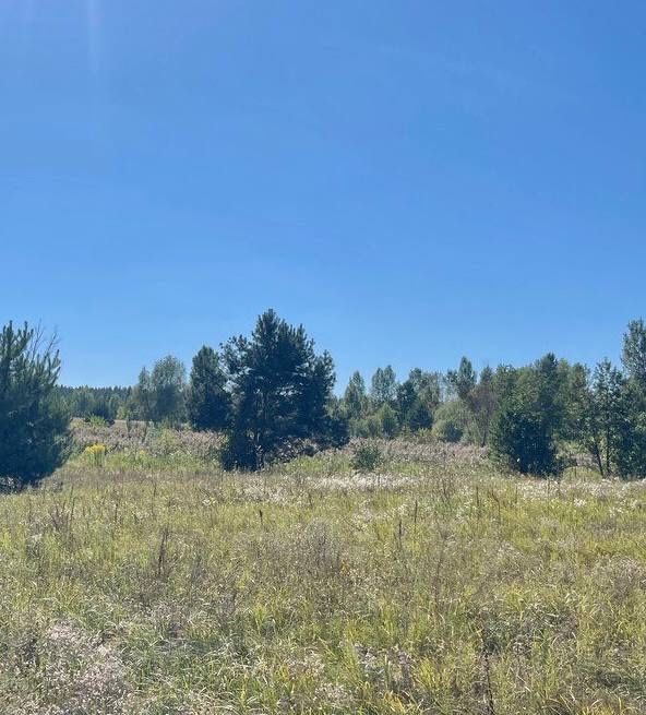 Земельна ділянка 1,42 Га! Березівка!