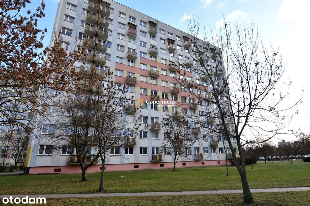 Apartment in Toruń, Osiedle Józefa Bema, Chełmińskie Przedmieście - Więcej