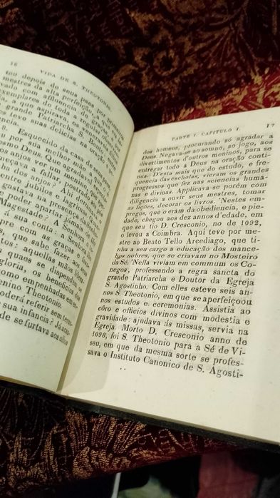 Vida do Admirável Padre S. Theotonio 1855