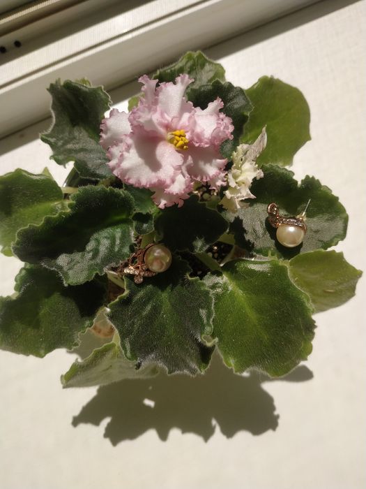 Серьги гвоздики с имитацией жемчуга