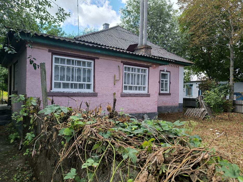 Олишівка. Міцний Будинок + 37 Соток Приватизованої Землі