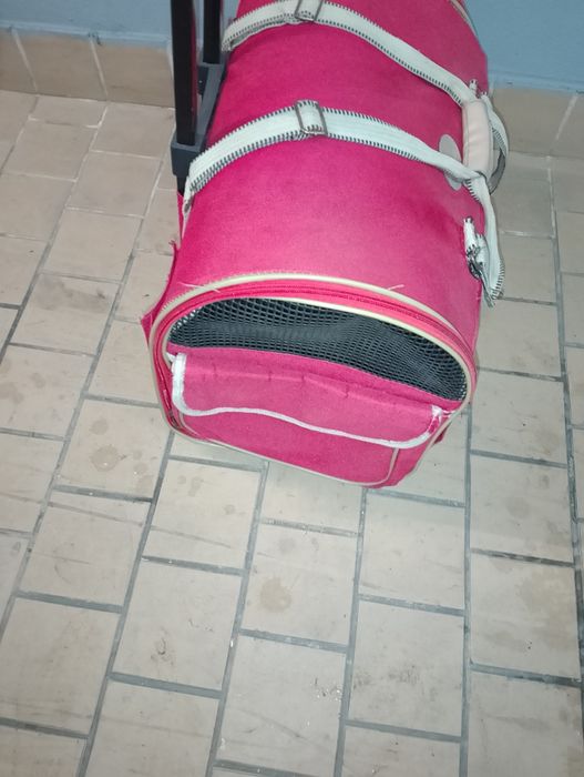 Transportadora de animais domésticos