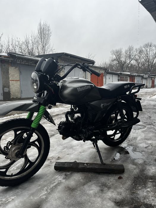 продам мустанг динго