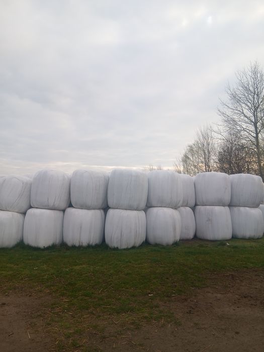 Sianokiszonka w belkach z  2025