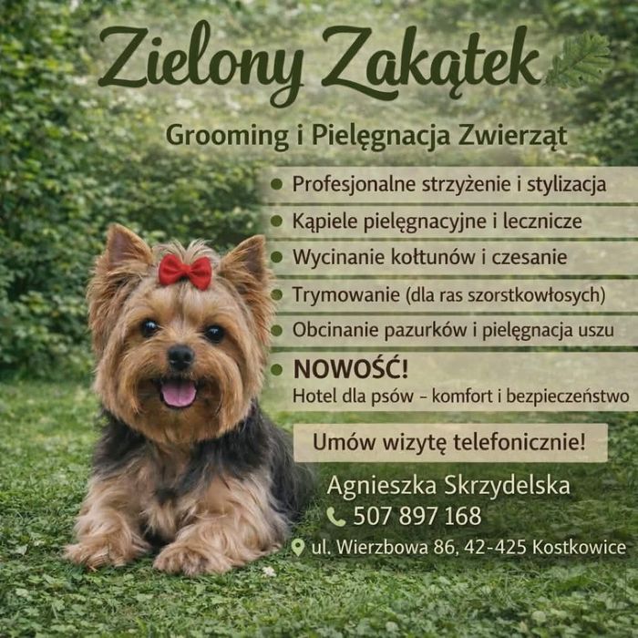 Profesjonalna pielęgnacja psów