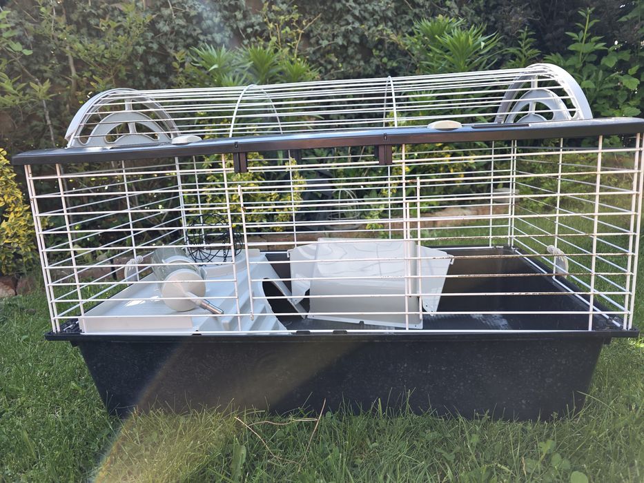 Klatka dla świnek morskich