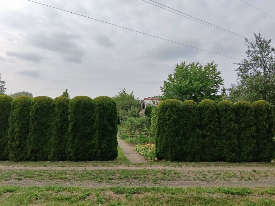 Sprzedam działkę rod 5ar Dębica