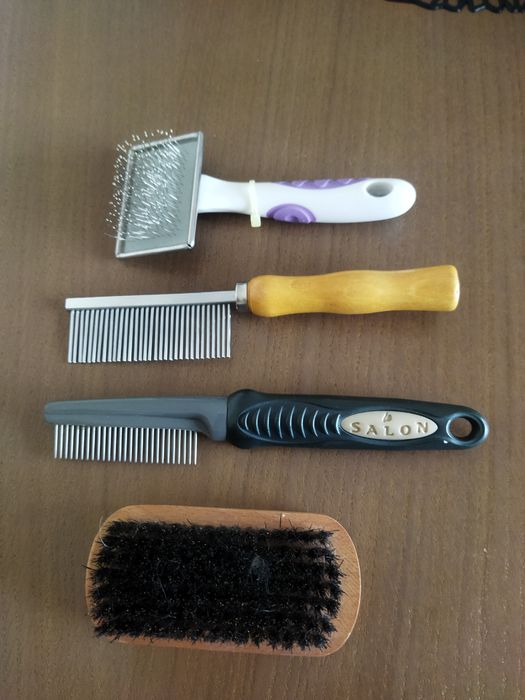 Zestaw do pielęgnacji psa yorka