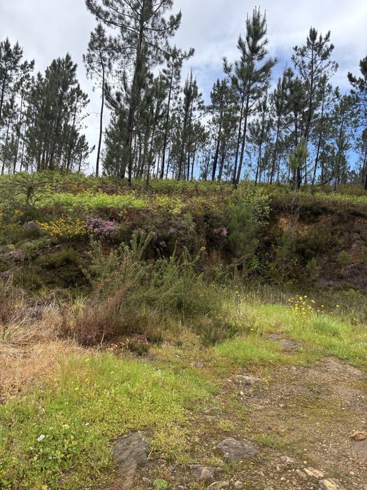 Terreno Calheiros Ponte de Lima