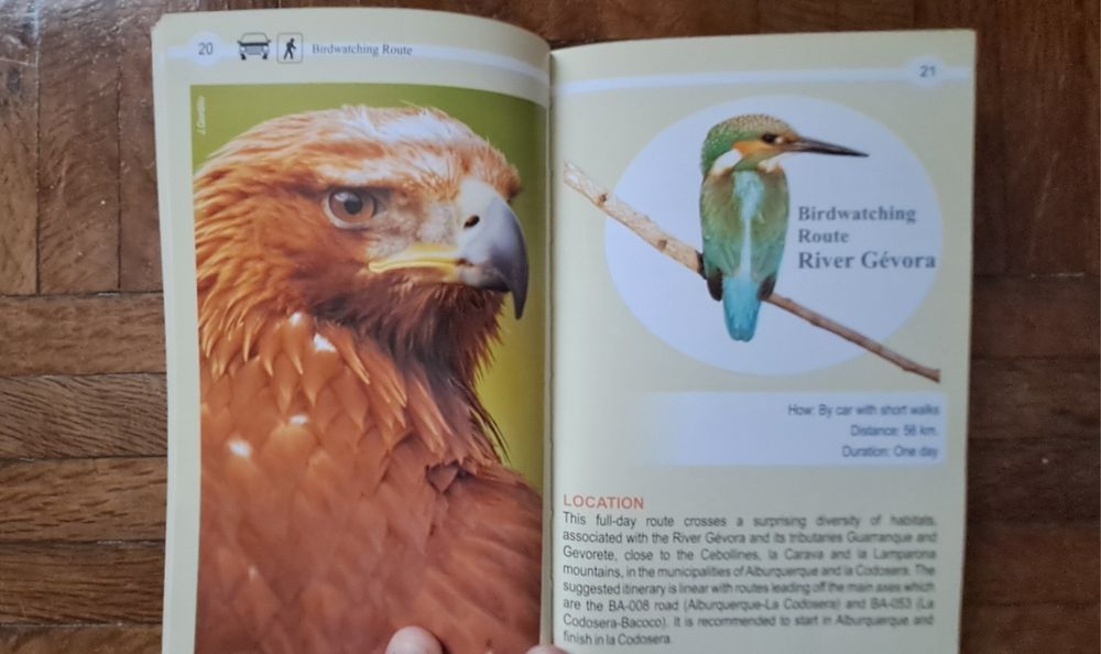 Guia de observação de aves