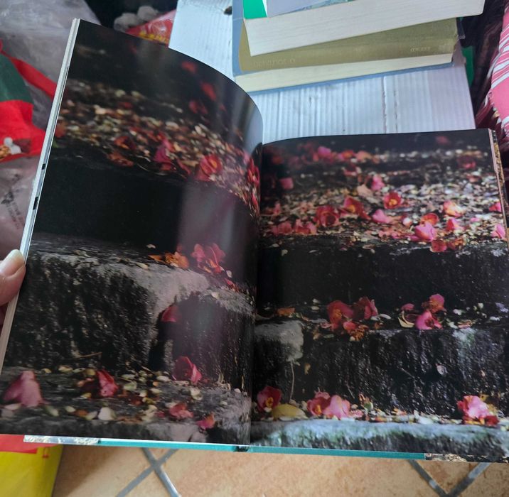 Livro jardins de cristal