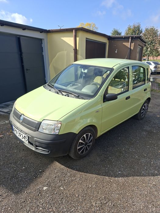 Fiat Panda w Płońsku