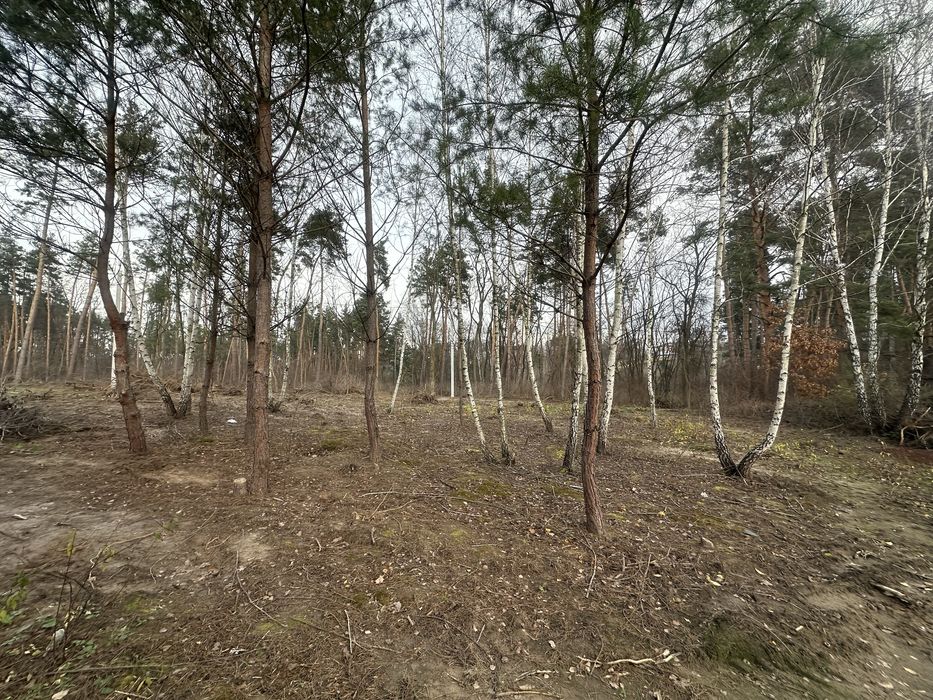 Продам ділянку  6 сот; 11 сот,  Ходосівка