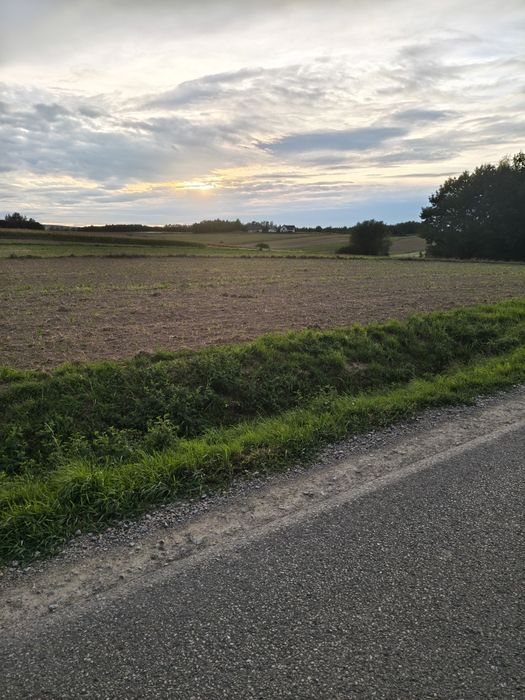 Działka 20 ar widokowa pod dzialalność gospodarczą - Widok 4