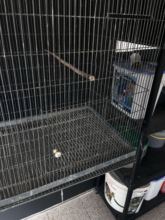 Voadeira para Aves