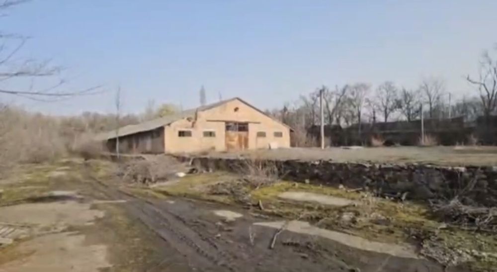 Продаж бази м. Городище (3.5 Га)