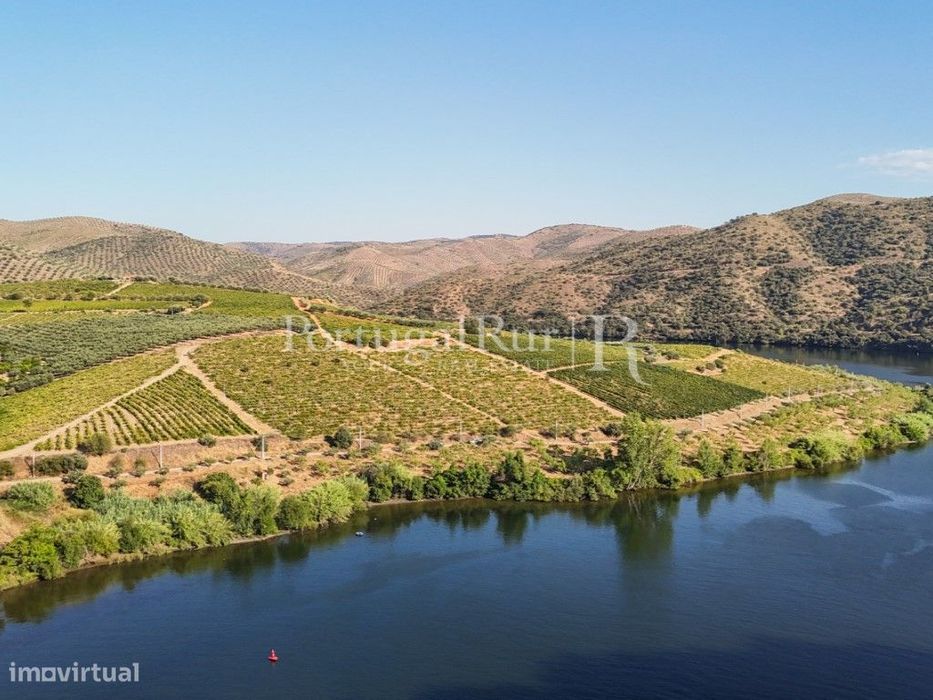 Quinta no Douro junto ao Rio com 3 construções