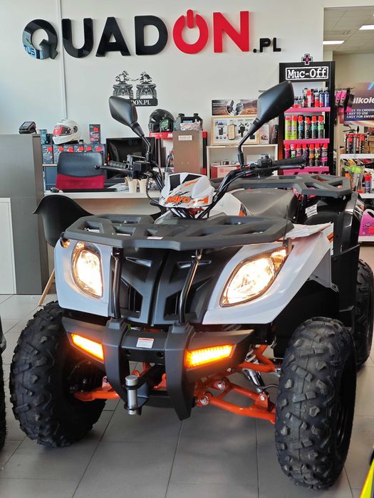 Quad KAYO AU300 T3B od ręki Raty Transport QuadON Assix, Beretta