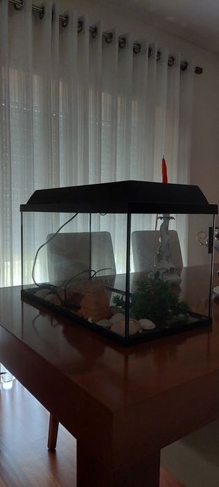 Aquário como Novo