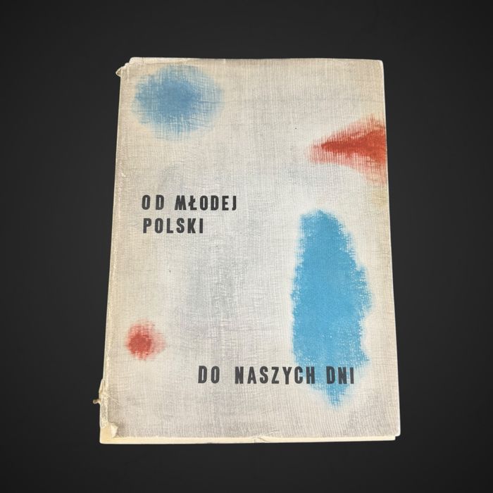 1959 Od Młodej Polski do naszych dni Nowosielski Chwistek J6/041438