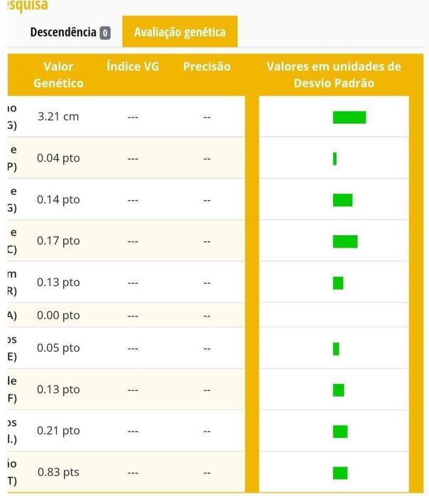 Poldro PSL , filho do Gladiador do lis