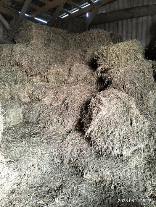 Продам  солому ячну 150 грн