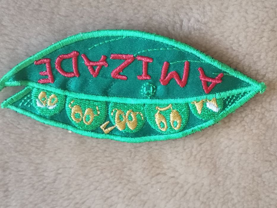 Emblemas capa traje académico.