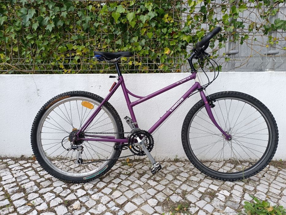 Bicicleta semi desportiva