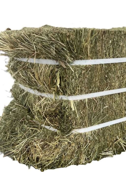 Feno, Palha, Fenosilagem, Luzerna, Aparas de madeiras