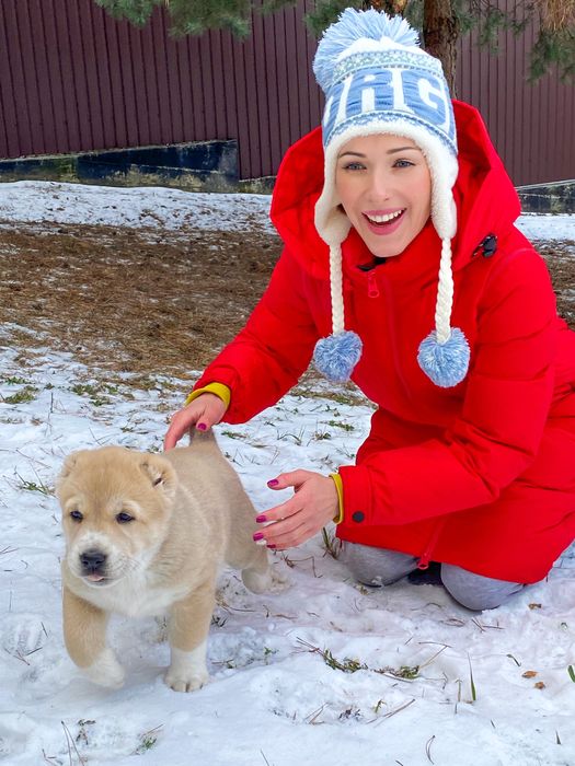 Высокопородные Щенки Среднеазиатской Овчарки/Алабай