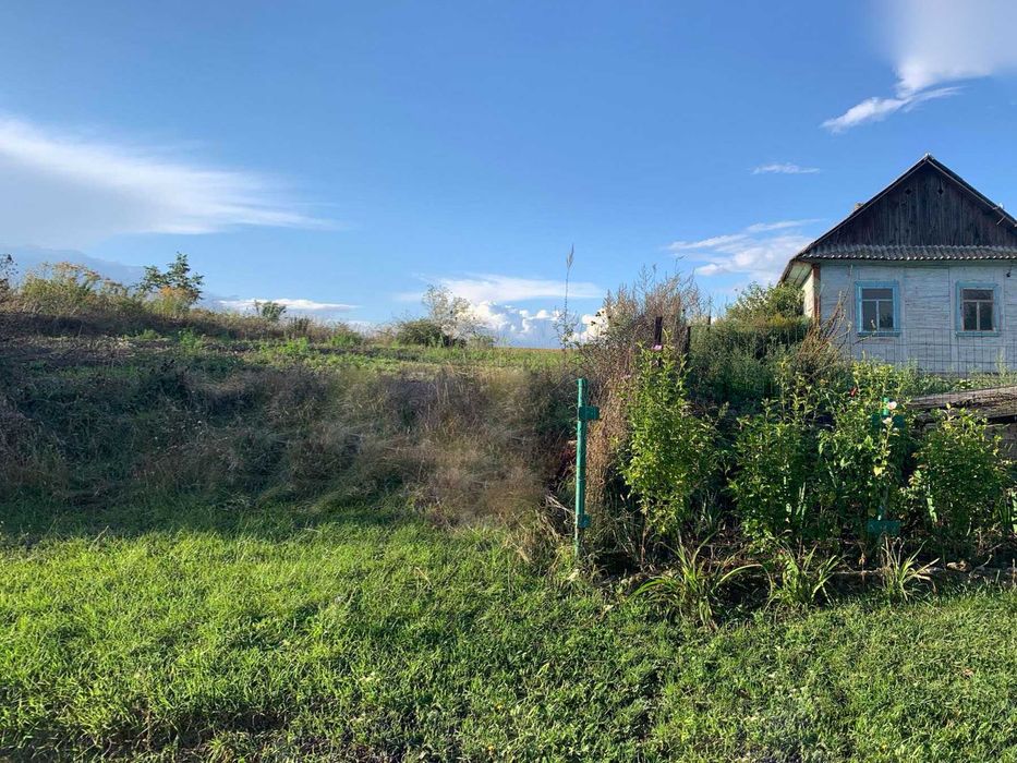 Продам ділянку 25 сотих зі старим будинком, с. Ставки