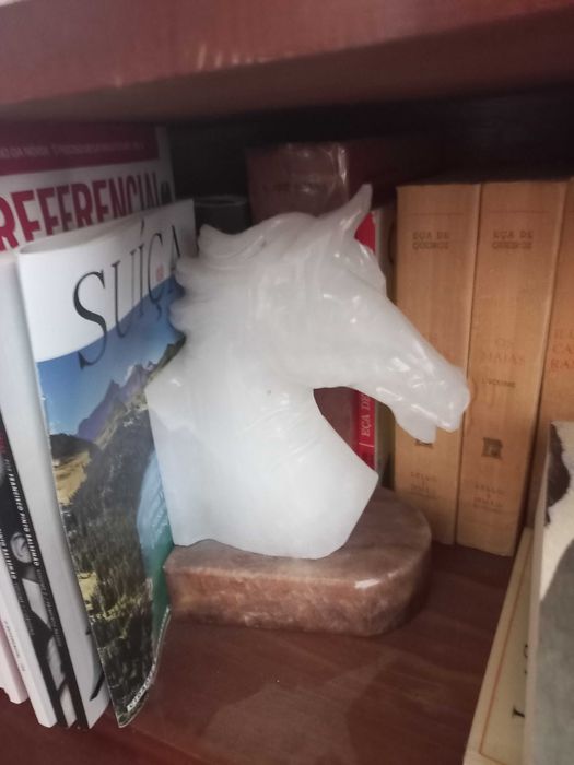 Ampara livros cabeça de cavalo