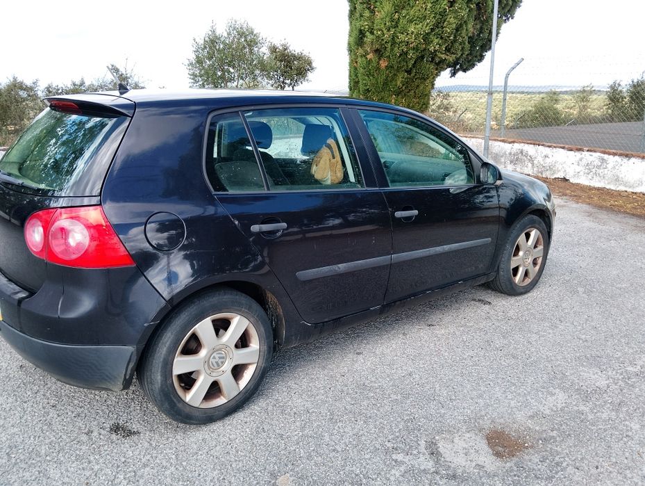 Vw Golf V 1.9 TDI 105 cv