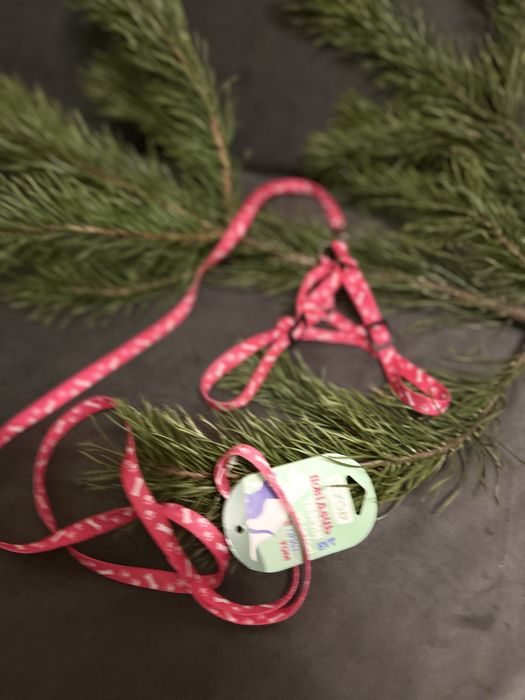 Продам повідок для котика, собачки