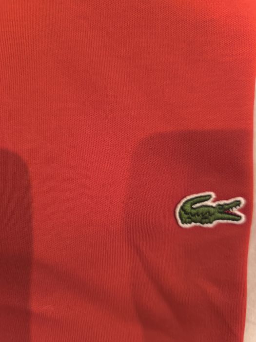 Polo Lacoste Original