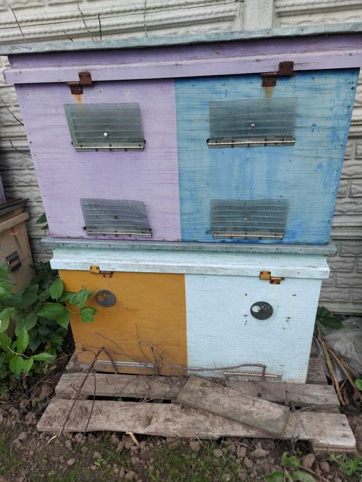 Продам вулики для бджіл. Торг