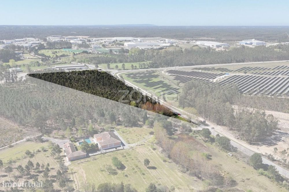 Oportunidade em Cantanhede: 3 Hectares de Potencial Ilimitado!