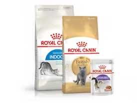 -25% Royal Canin для котів на весь асортимент / в наявності
