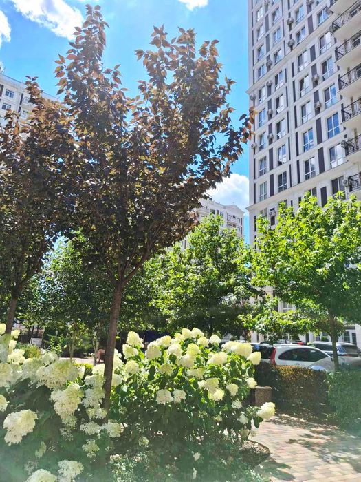 Продам квартиру в ЖК Нова Англія