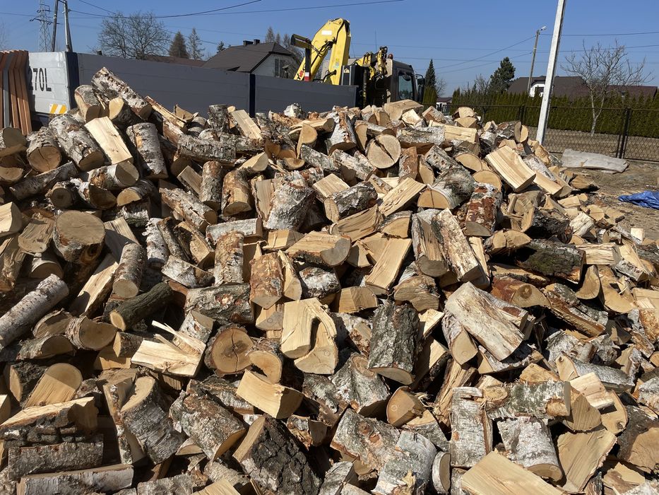 Brzoza Lub Klon Drewno opalowe Kominkowe w Kawalkach 33cm drzewo