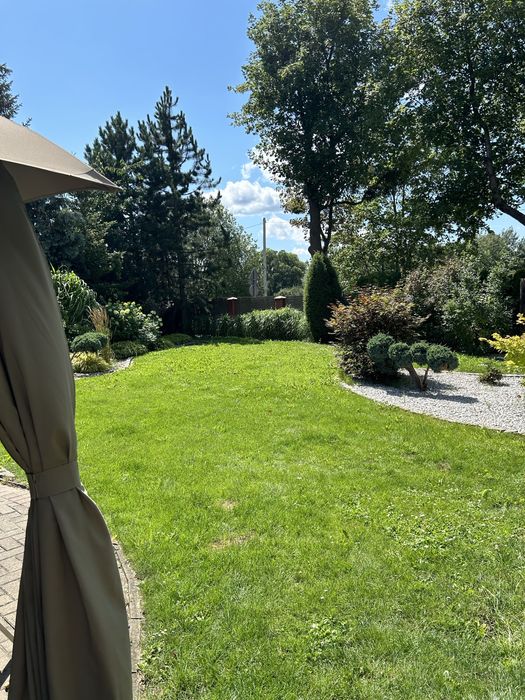 Usługi ogrodnicze - Zakładanie ogrodów / Systemy nawadniające.