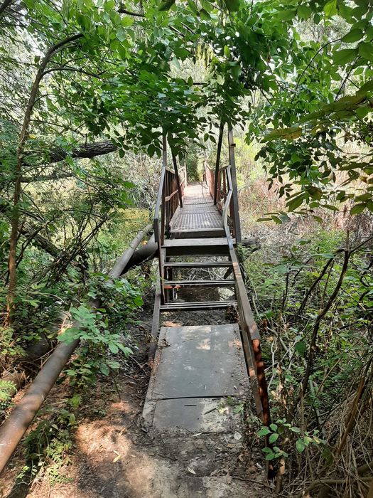 Сдам 2-3й этажи в доме в Соловьиной роще возле воды. Без мебели