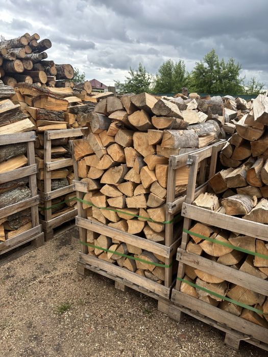 Drewno Opałowe.Kominkowe Drzewo.Buk.Grab.Dąb.Sosna.Brzoza.Olcha.Akacja